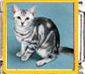 Cat - Picture enamel (2)